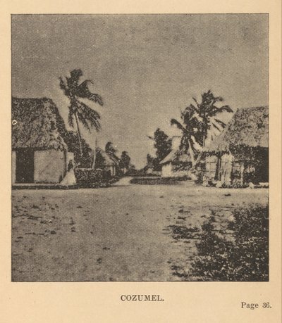 Cozumel द्वारा ऐलिस डी। ले प्लज़ोन